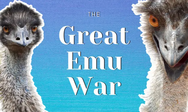 The Great Emu War