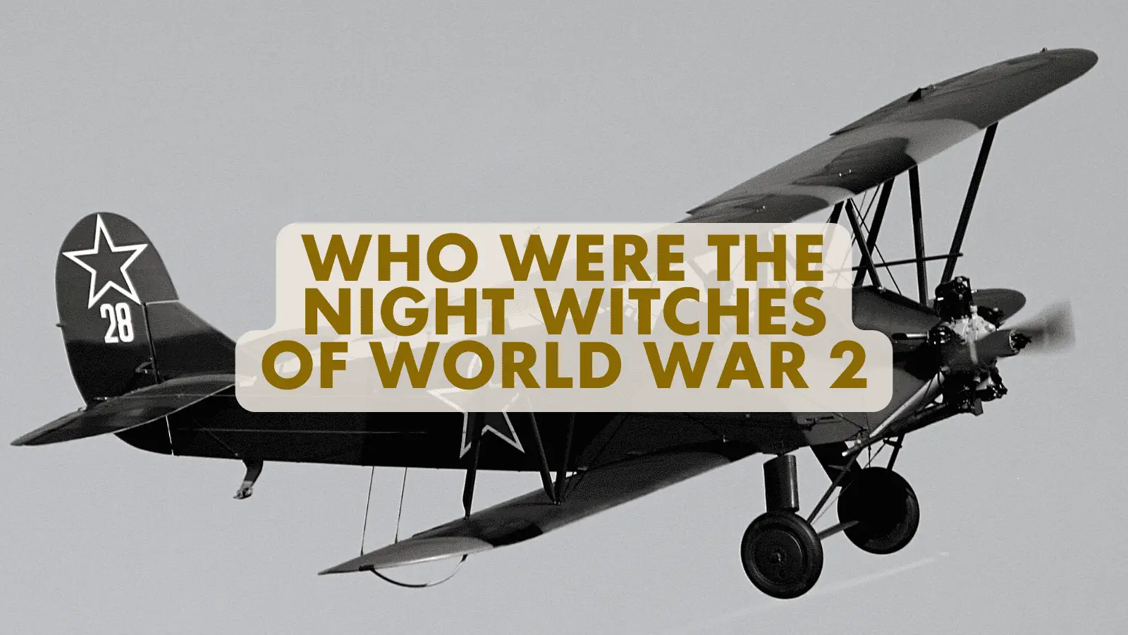 Night Witches WW2