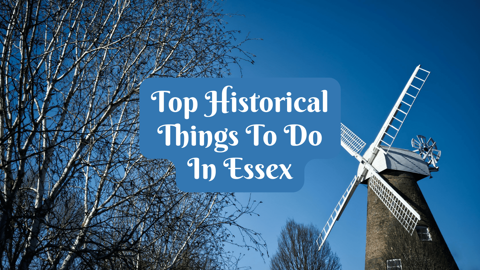 Things to do In Essex